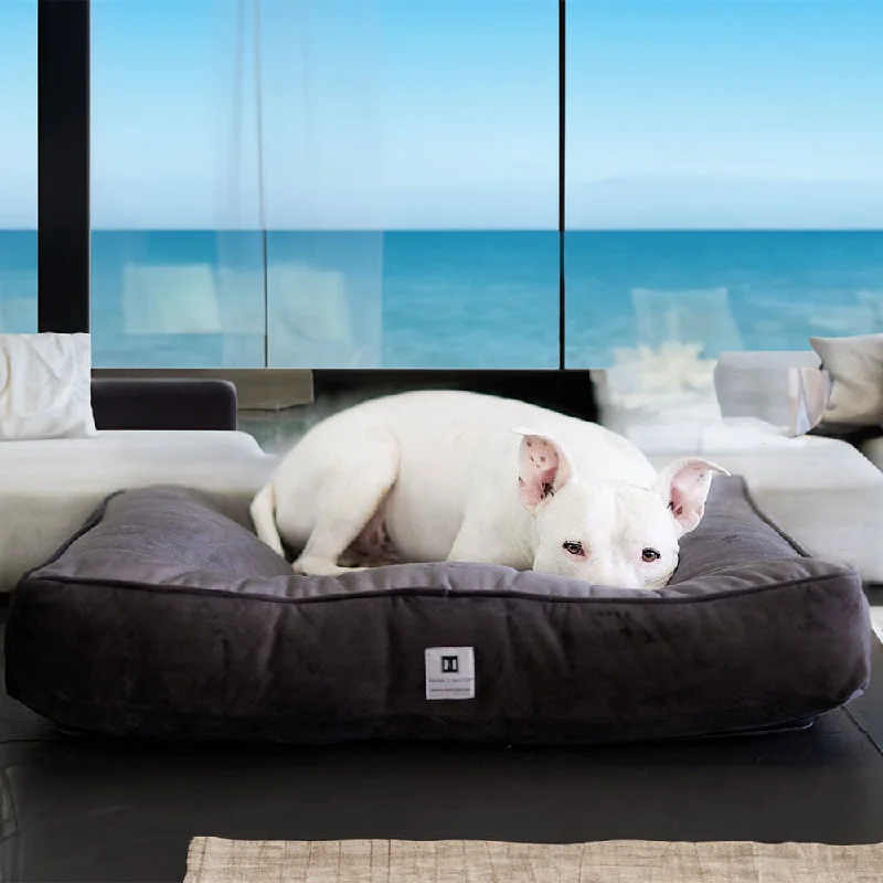 Ali Jewel® Ortho Square™ Companion-Pedic®  Luxury Dog Bed