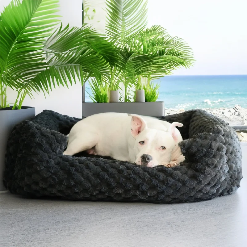 New: Katie Puff® Encore Companion-Pedic® Ortho Lounger Orthopedic Luxury Dog Bed