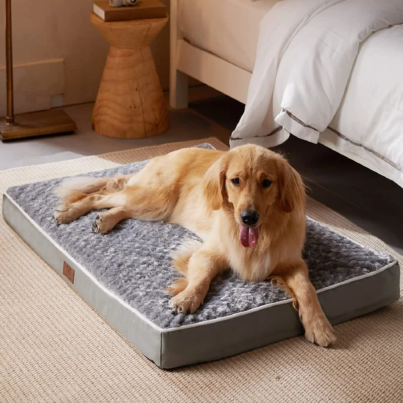 Orthopedic X Large Dog Bed