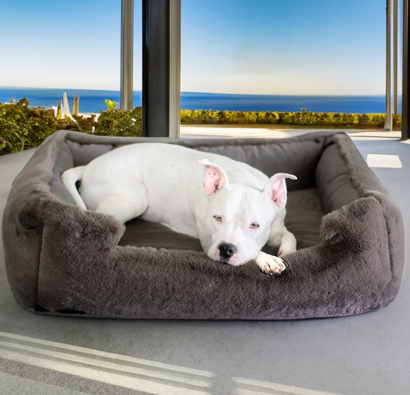 NEW: Ruby Puff® Ortho Lounger Companion-Pedic® Luxury Dog Bed