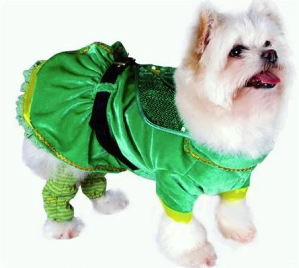 Little Leprechaun Girl Dog Costume