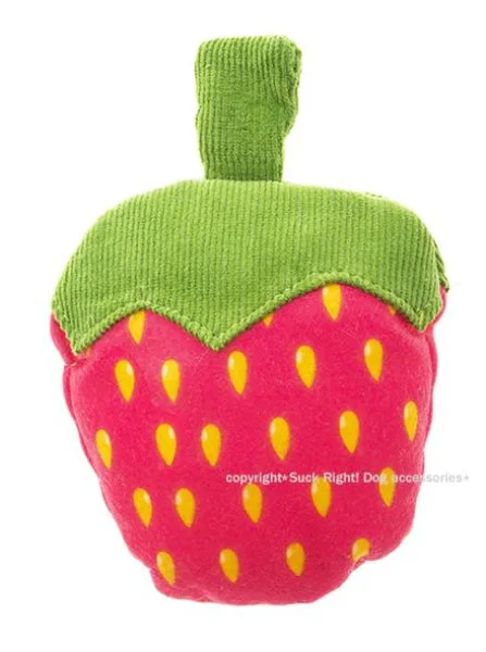 Neon Strawberry Dog Toy