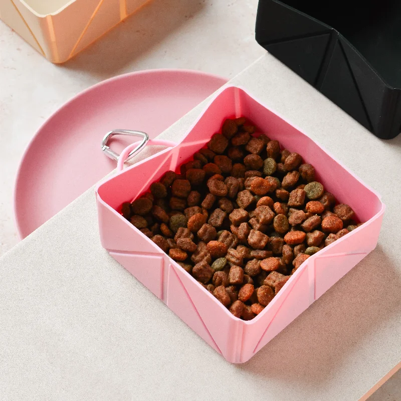 Foldable Travel Bowl - Pink