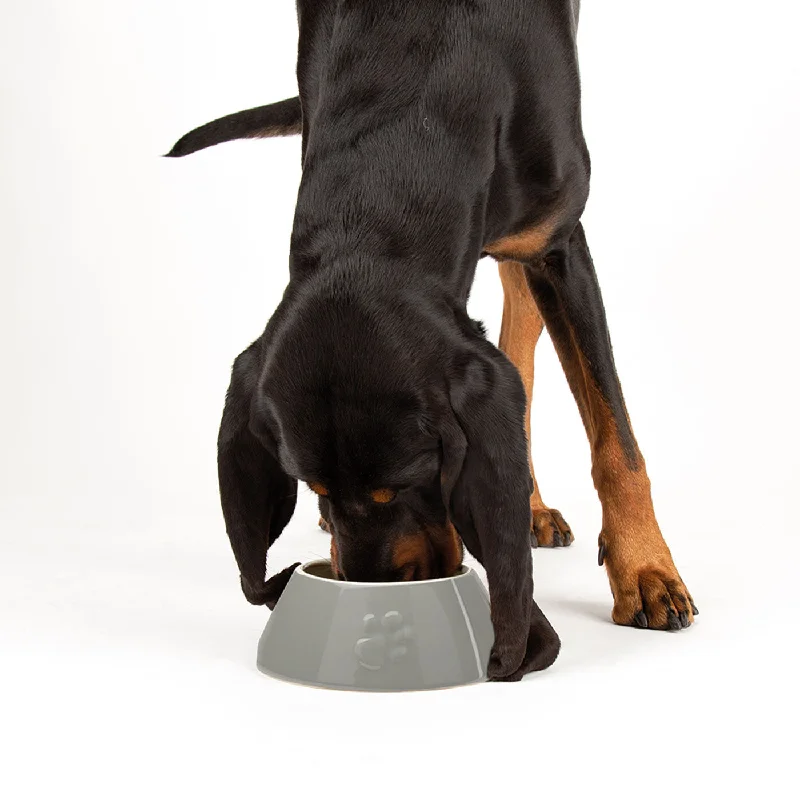 Scruffs Classic Long Eared Dog Bowl