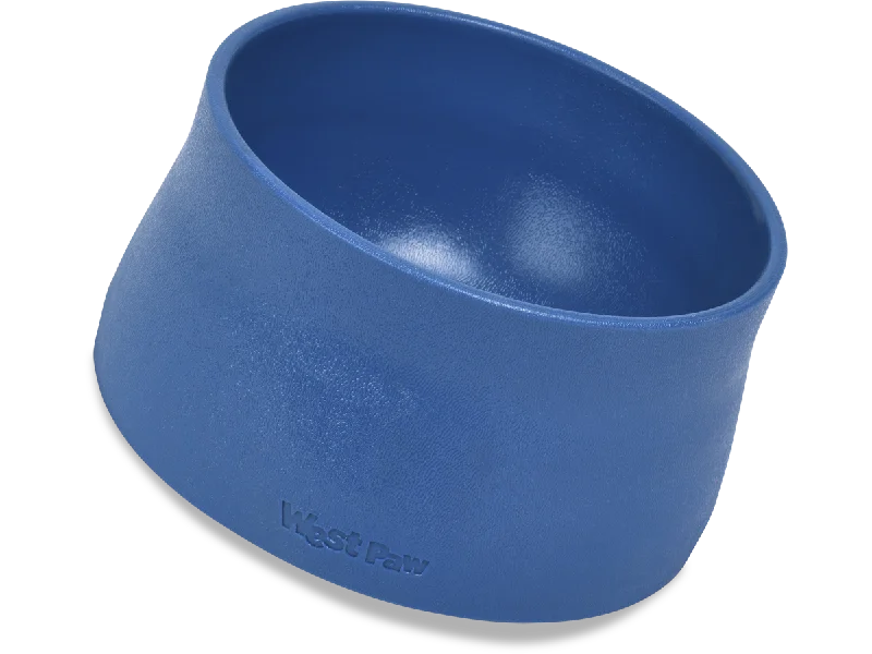 No-Slip Bowl