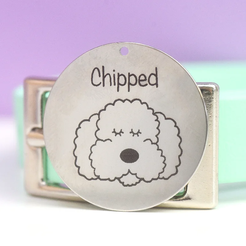 Engraved Dog Tag, Stainless Steel Personalised Pet Tag