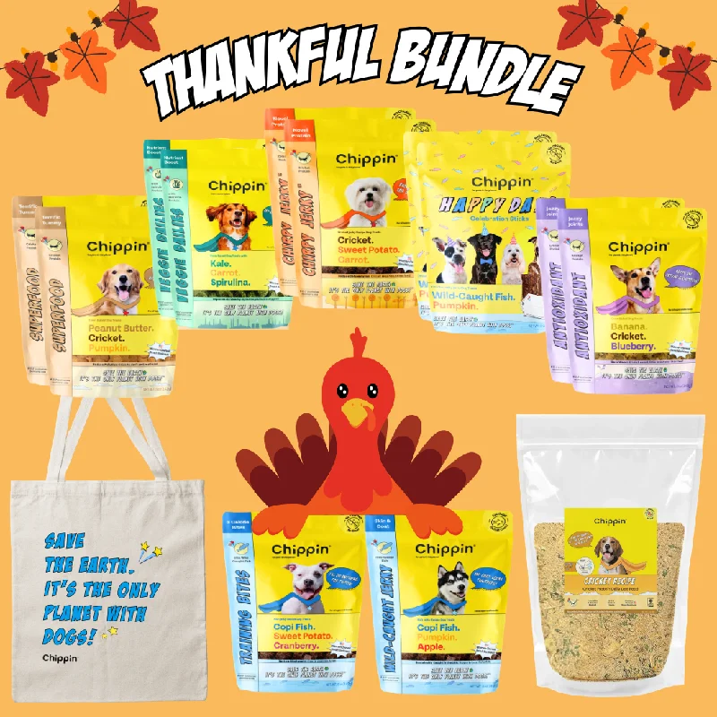 Thankful Bundle