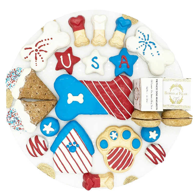 USA Themed Dog Treats Gift Box